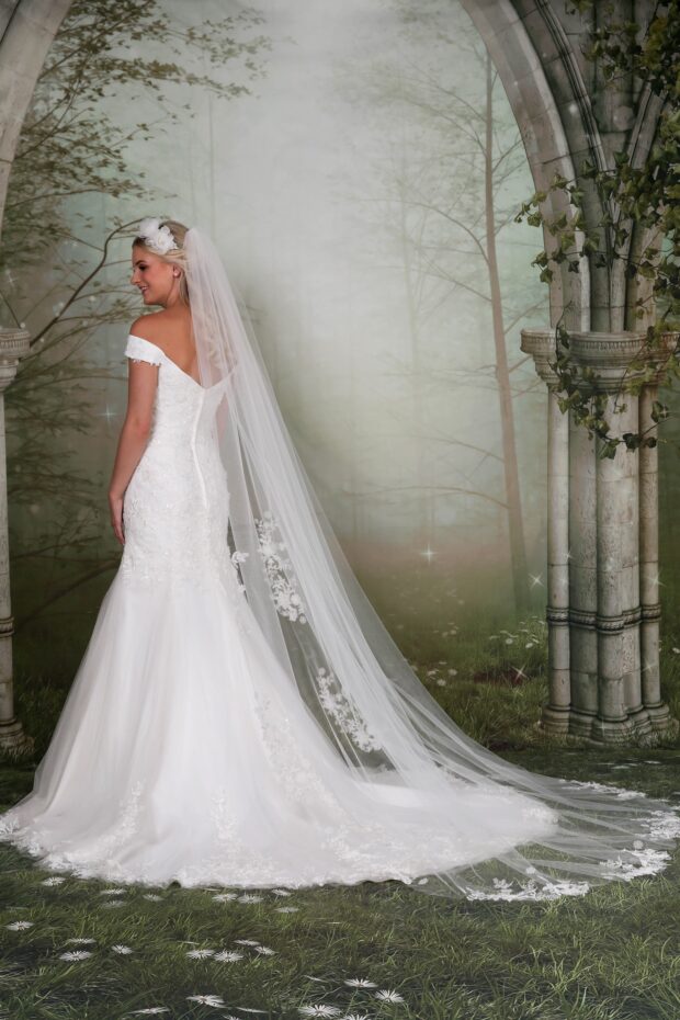 Wedding Veils - Emma Bridals